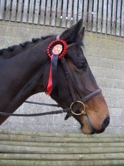 Wilfret with Red Rosette